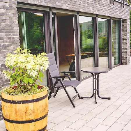 Mv Roemervilla, Lofts & Penthouses Mit Traumhaftem Moselpanoramablick Und Sauna Treis-Karden Exterior photo