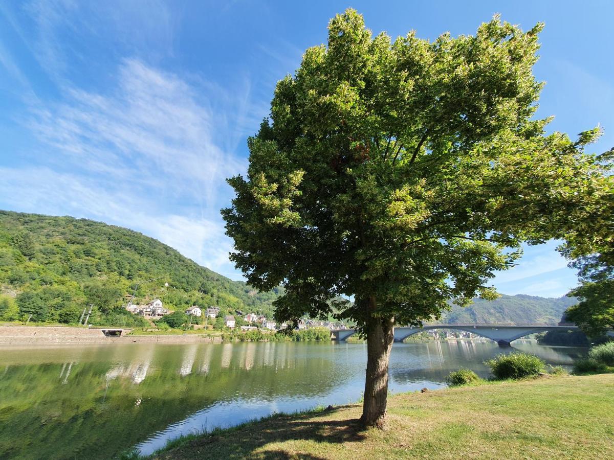 Mv Roemervilla, Lofts & Penthouses Mit Traumhaftem Moselpanoramablick Und Sauna Treis-Karden